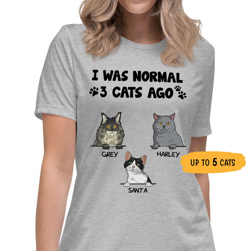 I Was Normal 3 Cats Ago, Custom Shirt, Personalized Gifts for Cat Lovers