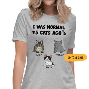 I Was Normal 3 Cats Ago, Custom Shirt, Personalized Gifts for Cat Lovers