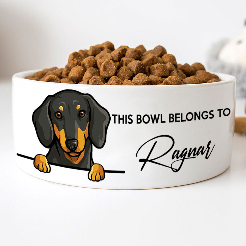 Personalized Custom Dog Bowls, Belongs To, Gift for Dog Lovers