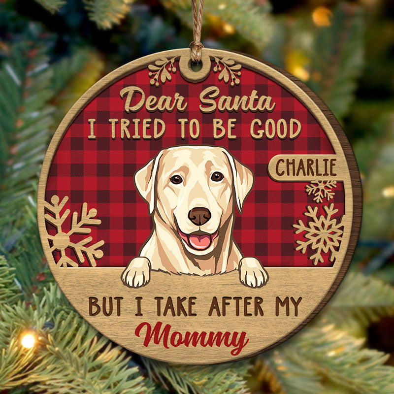 Dear Santa Define Naughty Christmas Dog Cat - Christmas Gift For