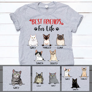 Best Friends For Life, Custom Shirt, Personalized Gifts for Cat Lovers