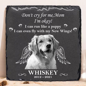Fly With New Wings, Memorial Gift For Dog Lovers, Custom Photo, Personalized Pet Memorial Stone