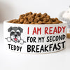 Personalized Custom Dog Bowls, Second Breakfast, Gift for Dog Lovers