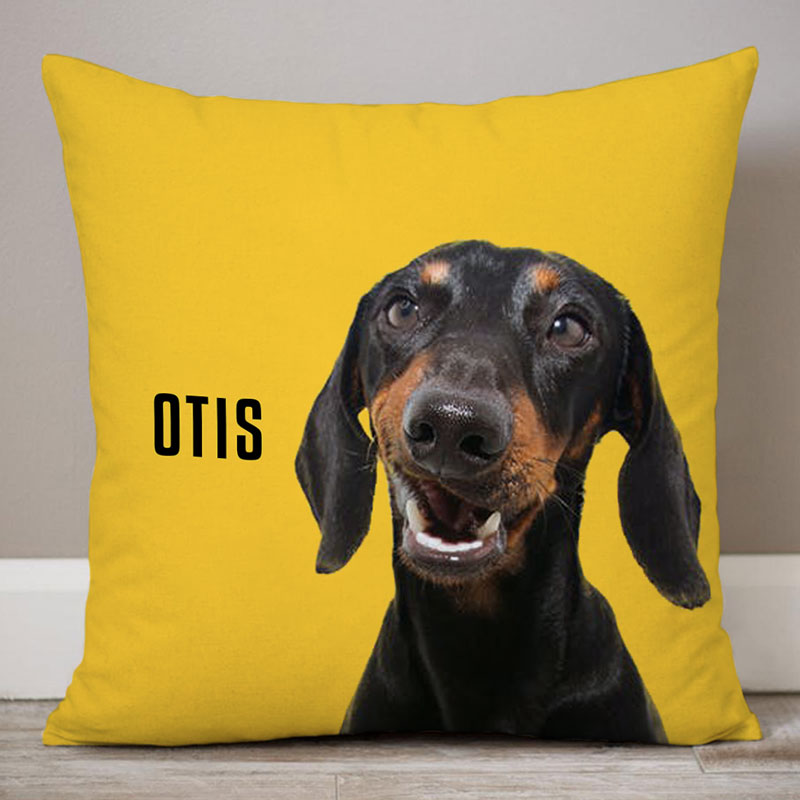 Pet Photo Pillow, Custom Photo, Personalized Pillows, Custom Gift for Pet Lovers