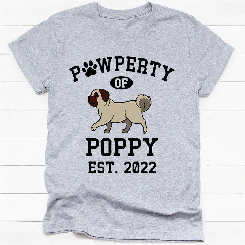 Pawperty Of Pug, Personalized Shirt, Custom Gifts For Dog Lovers