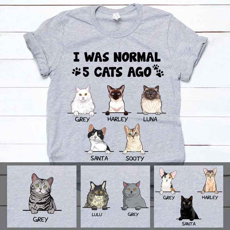 I Was Normal 3 Cats Ago, Custom Shirt, Personalized Gifts for Cat Lovers