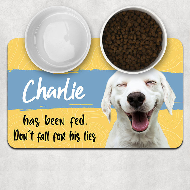 Pets Have Been Fed Don't Fall Their Lies, Personalized Pet Food