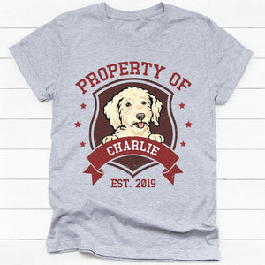 Property Of Dog Cat, Personalized Shirt, Custom Gift For Pet Lovers