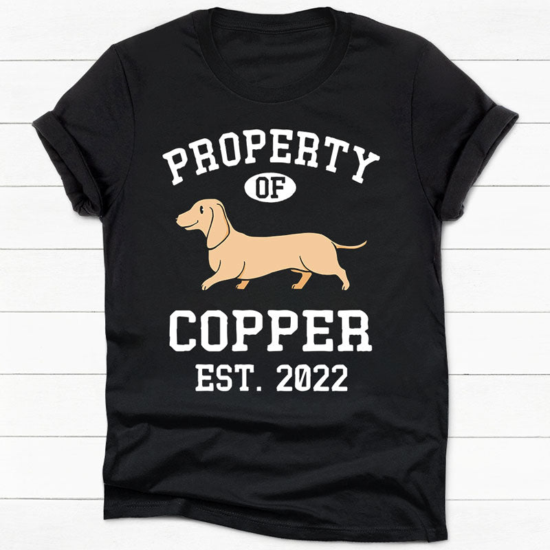 Property Of Dachshund, Personalized Shirt, Custom Gifts For Dog Lovers