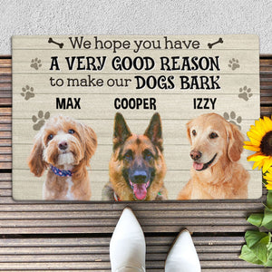 We Hope You Have Good Reason, Custom Photo Doormat, Gift For Dog Lovers, Personalized Doormat