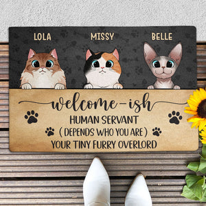 Welcome-ish Human Servant, Gift For Cat Lovers, Personalized Doormat, New Home Gift