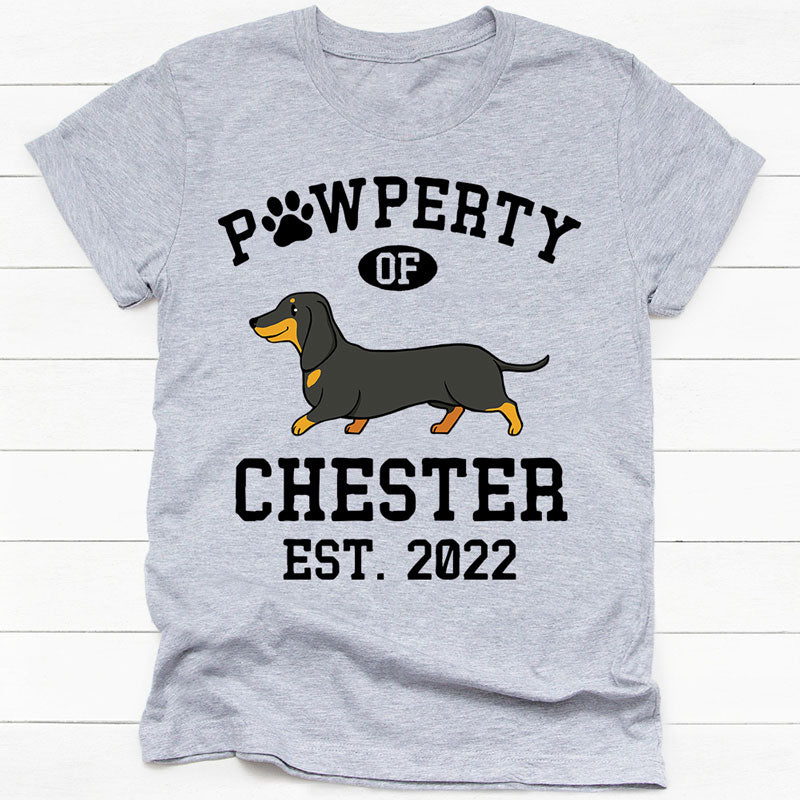 Pawperty Of Dashchund, Personalized Shirt, Custom Gifts For Dog Lovers