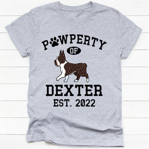 Pawperty Of Boston Terrier, Personalized Shirt, Custom Gifts For Dog Lovers