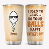 We Used To Live In Your Balls, Personalized Tumbler Cup, Father's Day Gifts