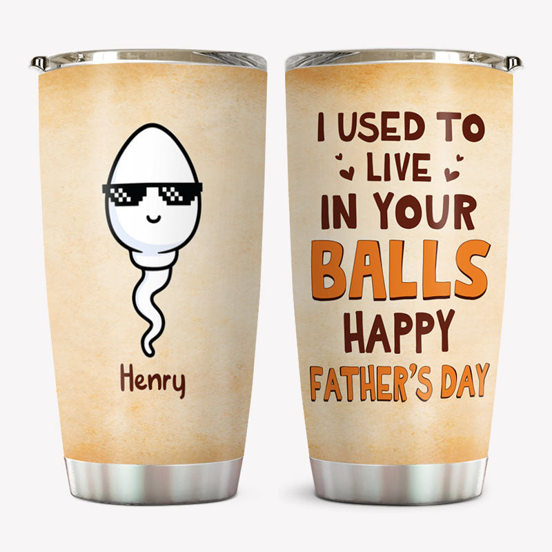 We Used To Live In Your Balls, Personalized Tumbler Cup, Father's Day Gifts