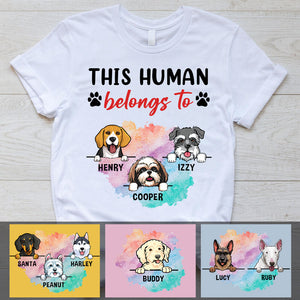 This Human belongs to, Custom T Shirts, Personalized Gifts for Dog Lovers