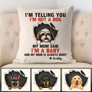 My Mom Said, Personalized Pillows, Custom Gift for Dog Lovers