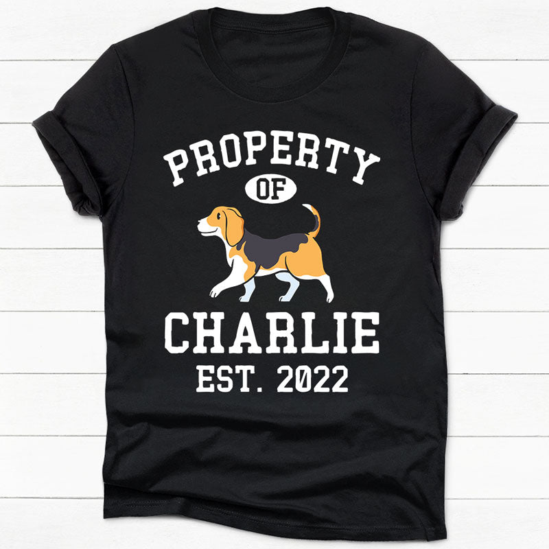 Property Of Beagle Personalized Shirt, Custom Gifts For Dog Lovers