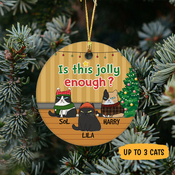 Is This Jolly Enough Cats Funny Expression Personalized Acrylic Orname